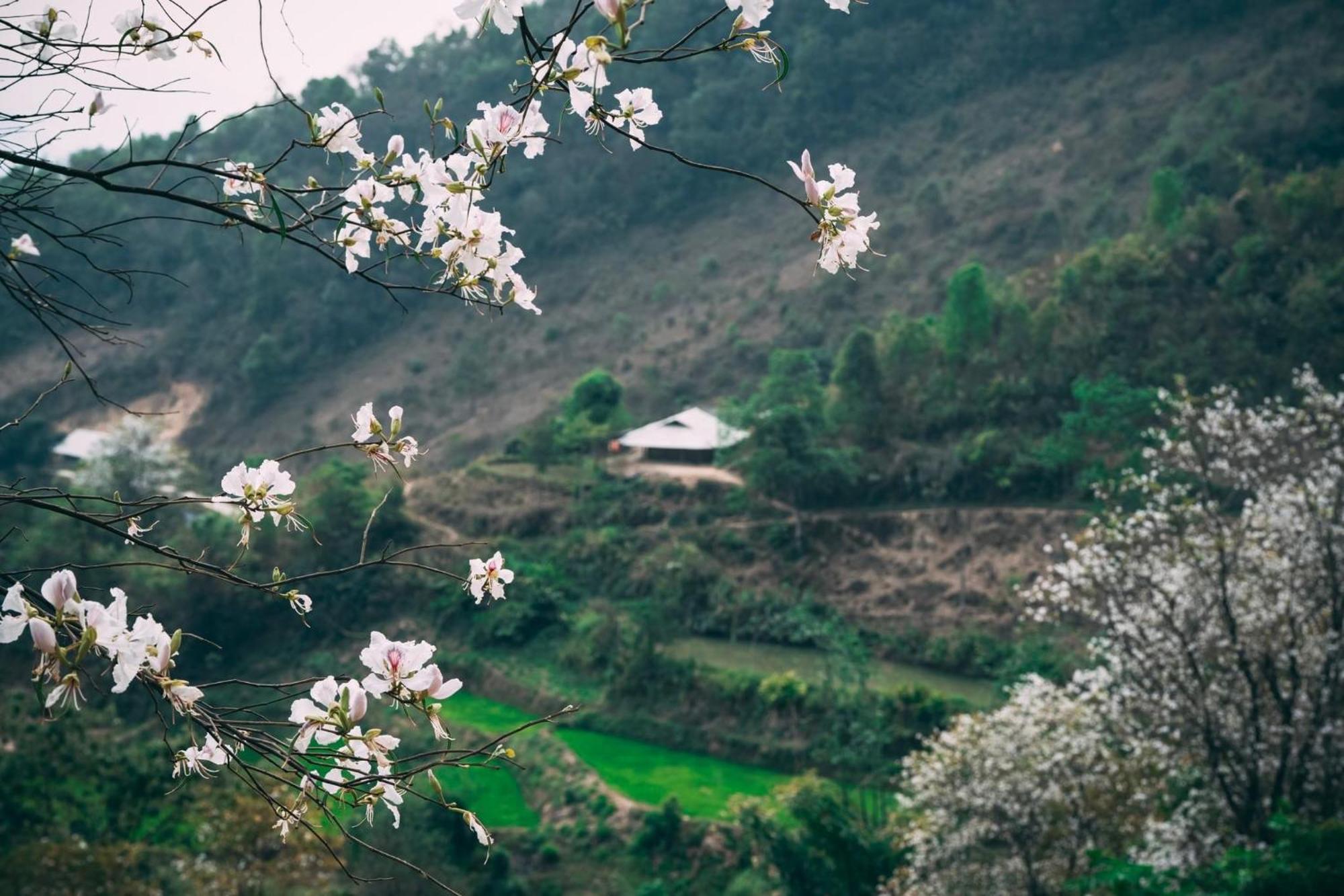 Minh Ngoc Homestay Dien Bien Phu Ban Hin Lom Esterno foto