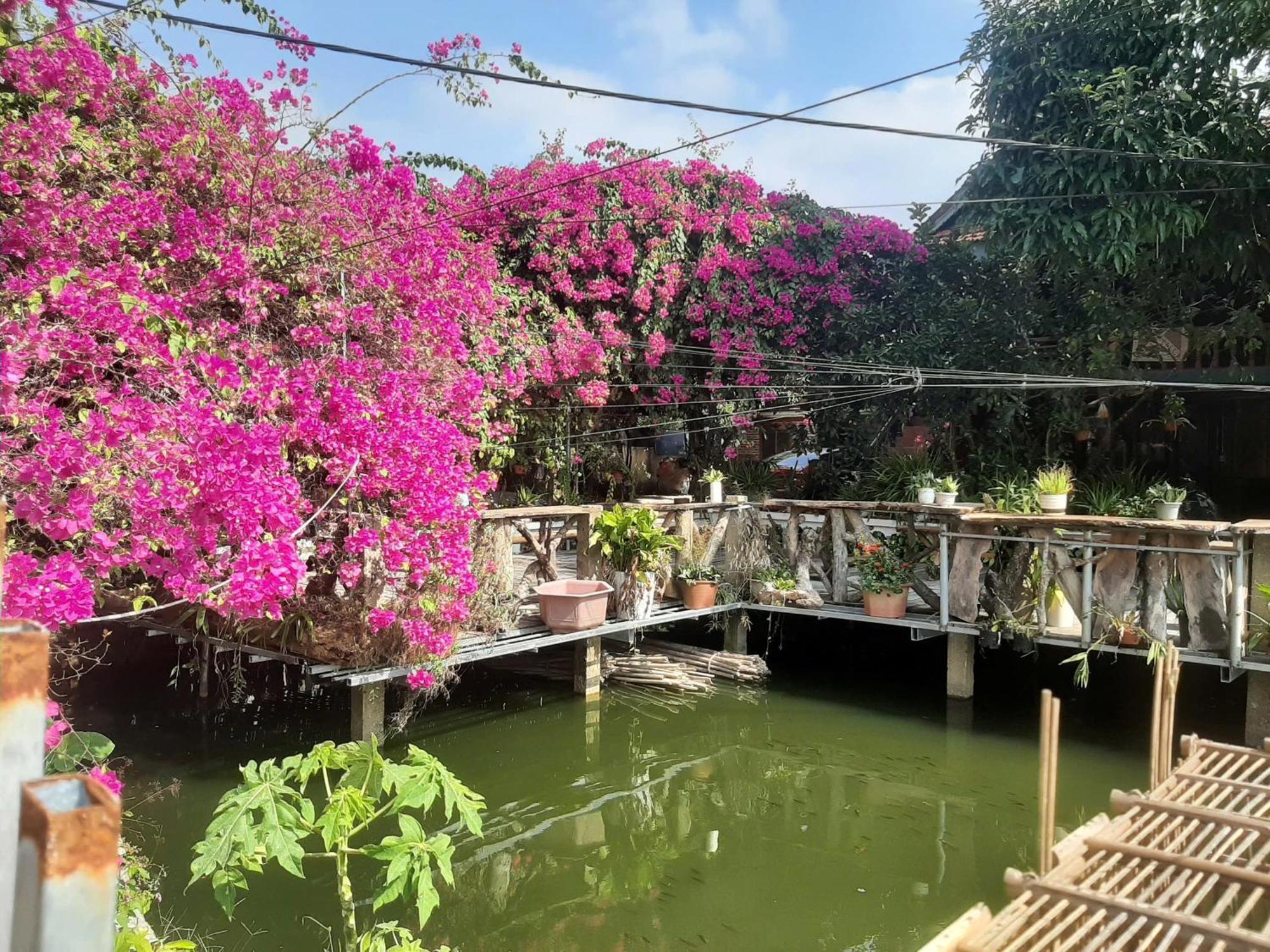 Minh Ngoc Homestay Dien Bien Phu Ban Hin Lom Esterno foto