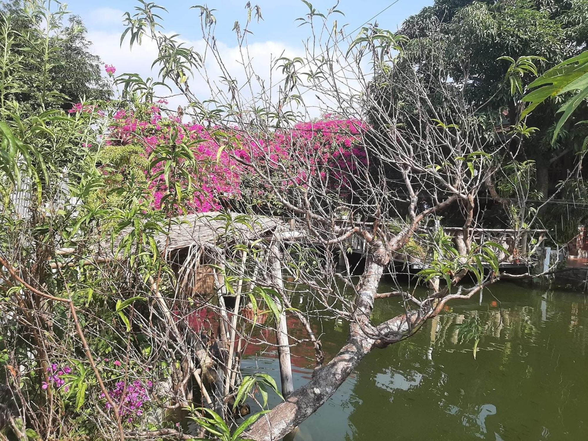 Minh Ngoc Homestay Dien Bien Phu Ban Hin Lom Esterno foto