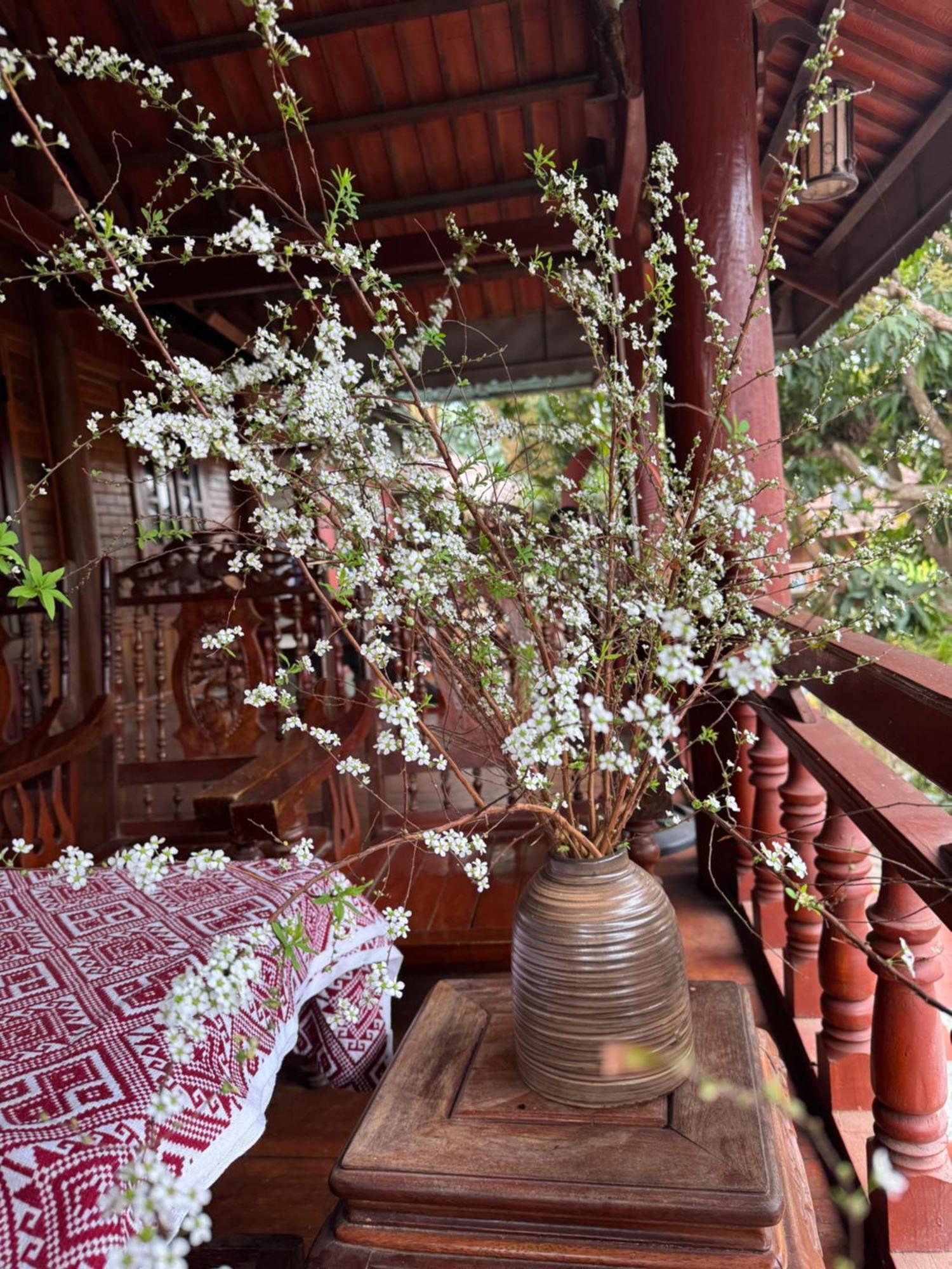 Minh Ngoc Homestay Dien Bien Phu Ban Hin Lom Esterno foto