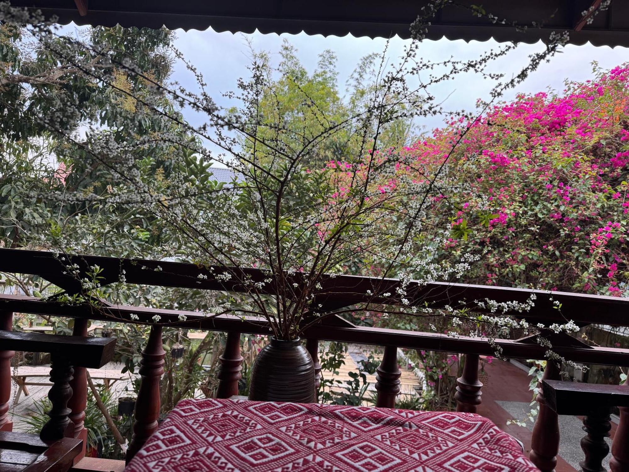 Minh Ngoc Homestay Dien Bien Phu Ban Hin Lom Esterno foto